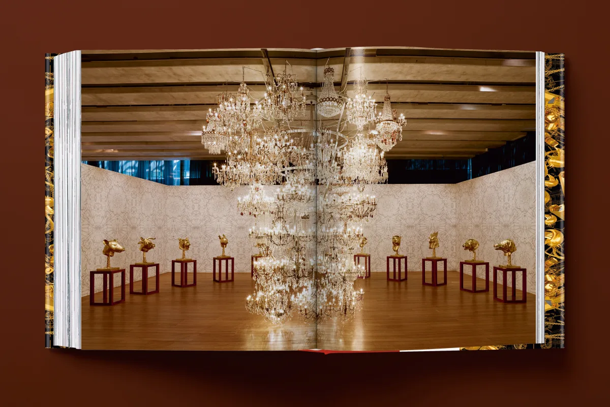 Ai Weiwei. Updated Edition - Image 24 de 32