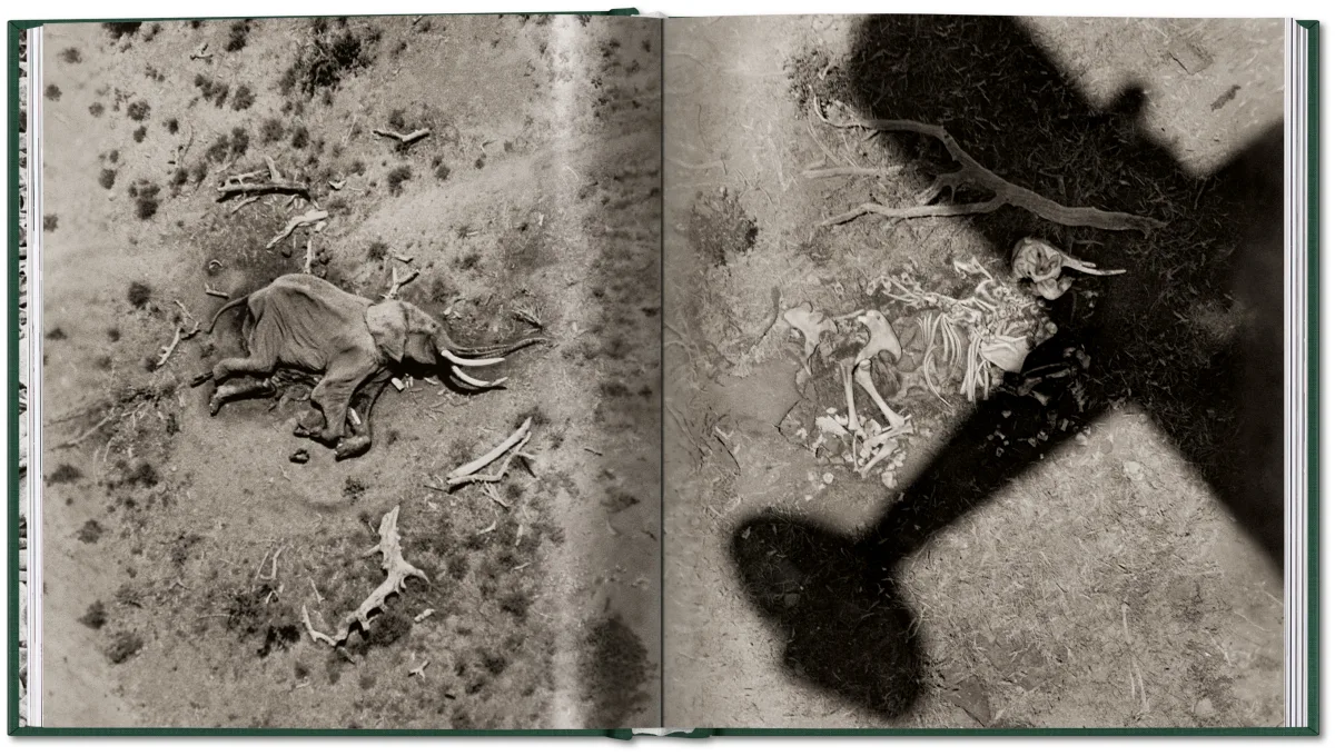 Peter Beard. The End of the Game - Image 3 de 9