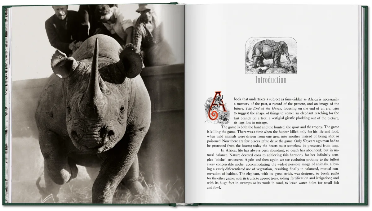 Peter Beard. The End of the Game - Image 4 de 9