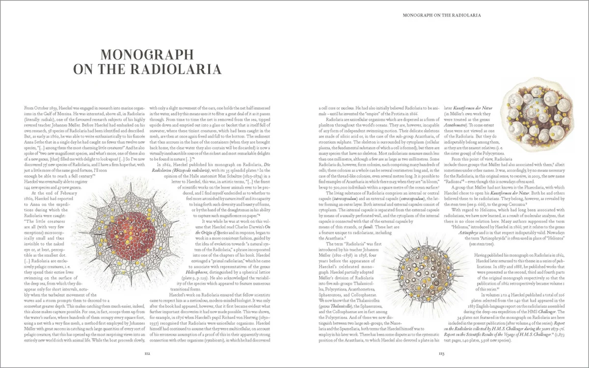 The Art and Science of Ernst Haeckel - Imagen 7 de 26