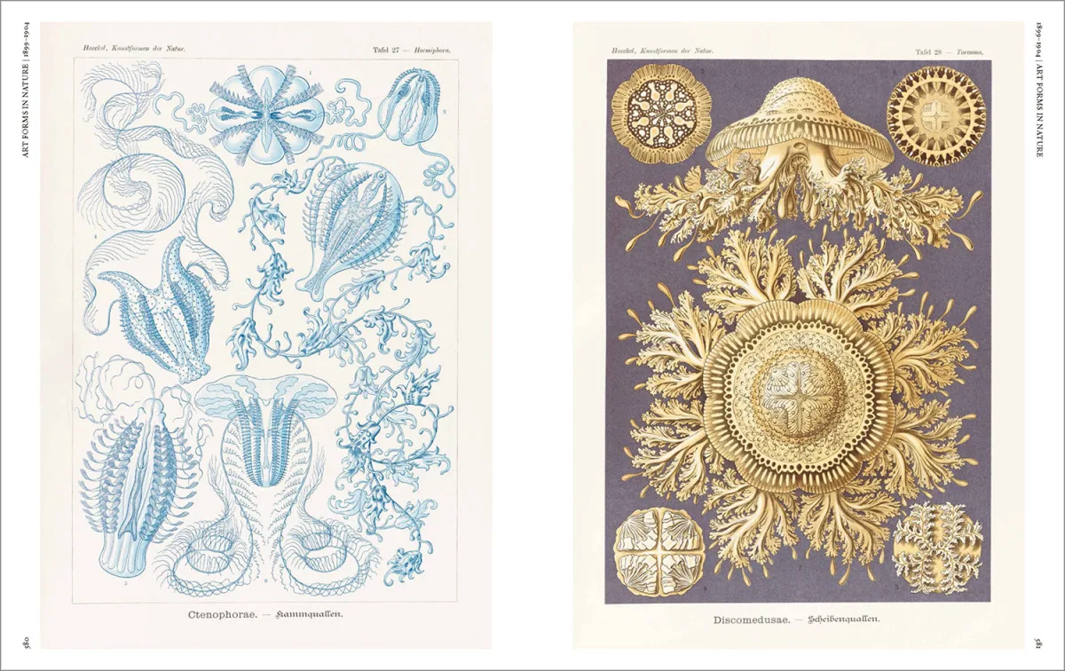 The Art and Science of Ernst Haeckel - Imagen 20 de 26