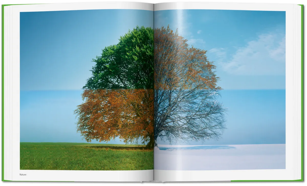 Norman Foster. Networks - Bild 9 von 14