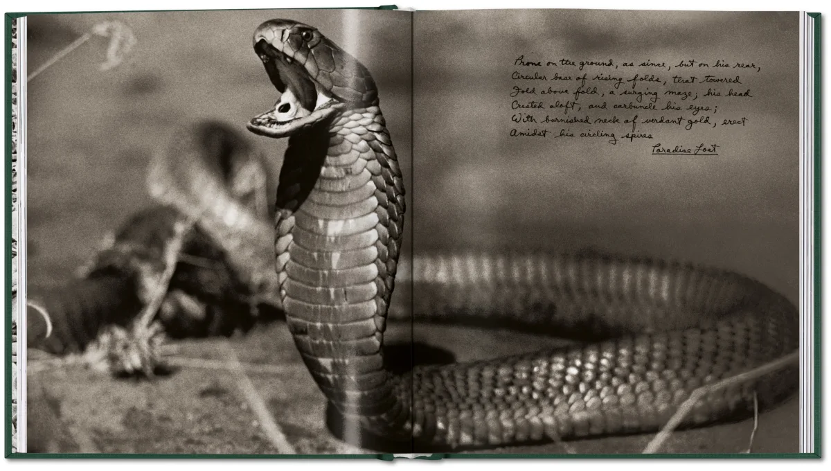 Peter Beard. The End of the Game - Bild 9 von 36