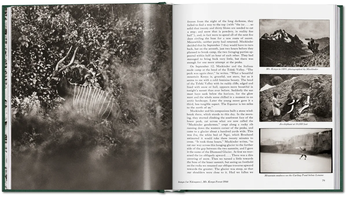 Peter Beard. The End of the Game - Bild 10 von 36