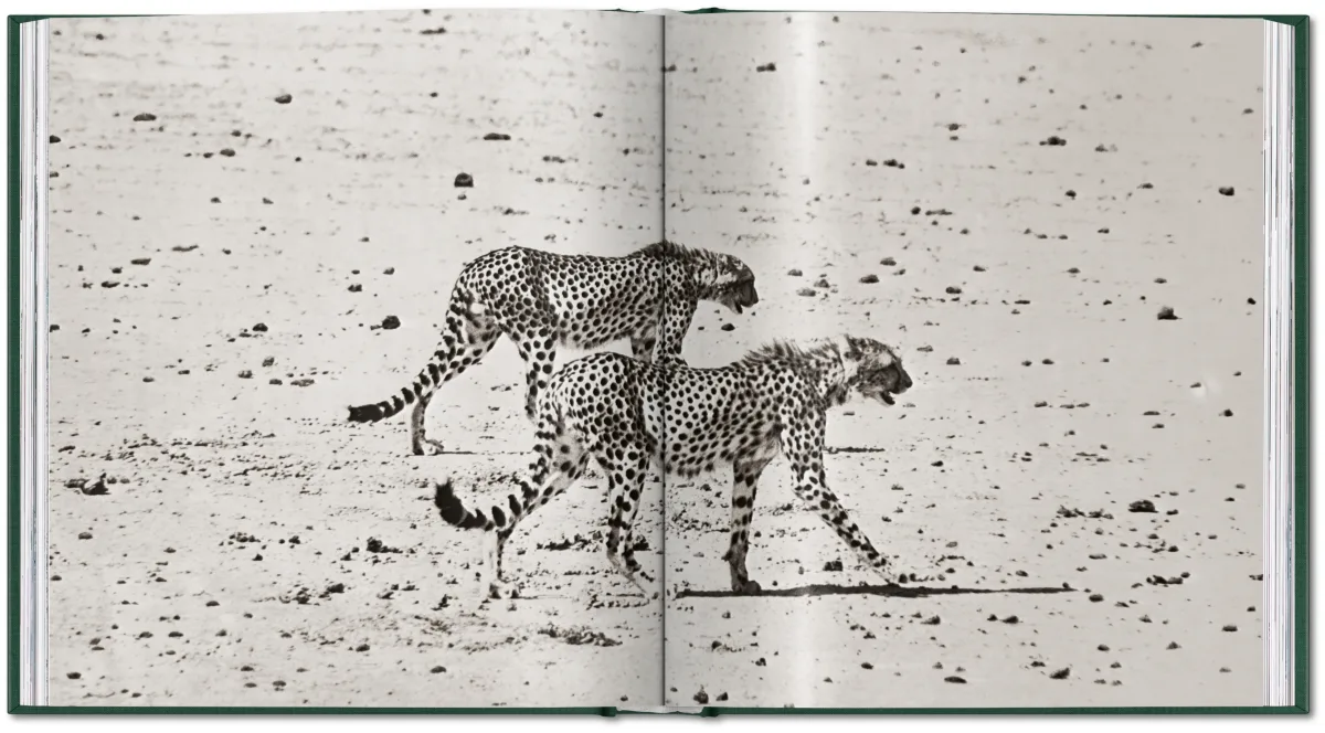 Peter Beard. The End of the Game - Bild 20 von 36