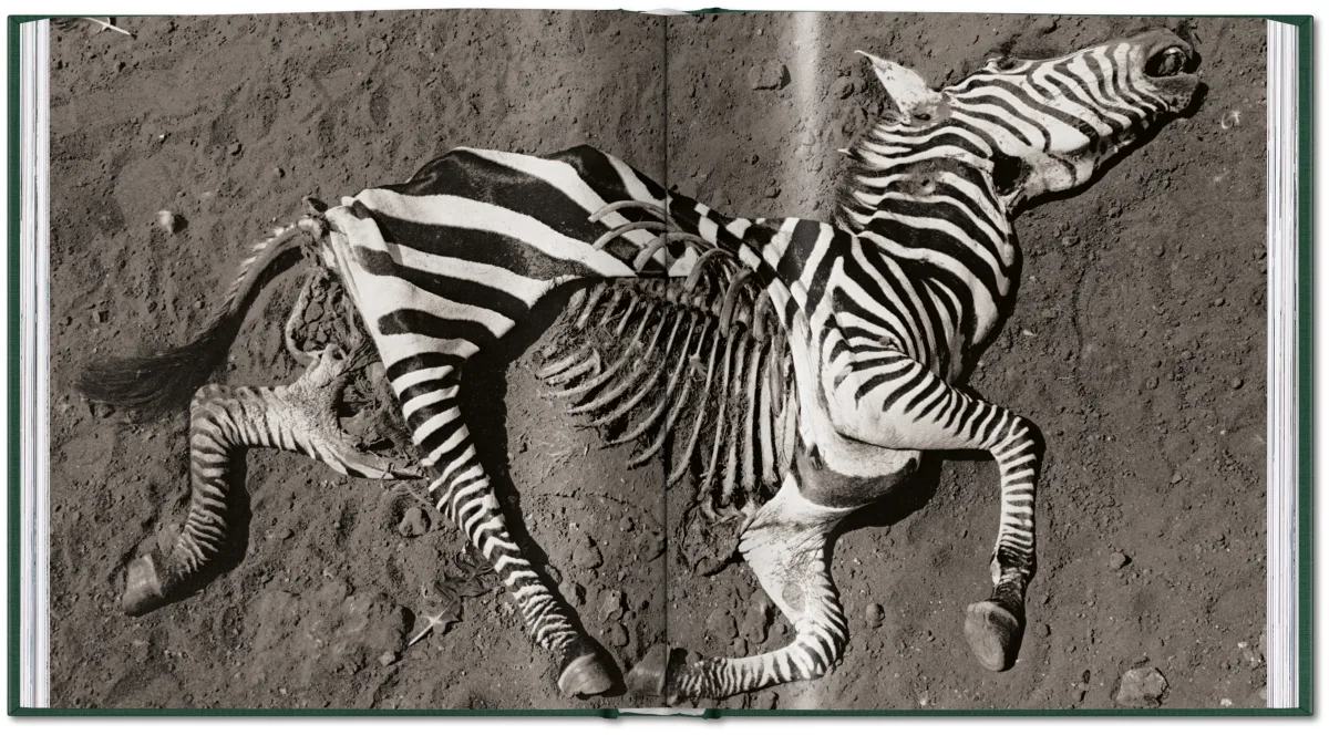 Peter Beard. The End of the Game - Bild 21 von 36