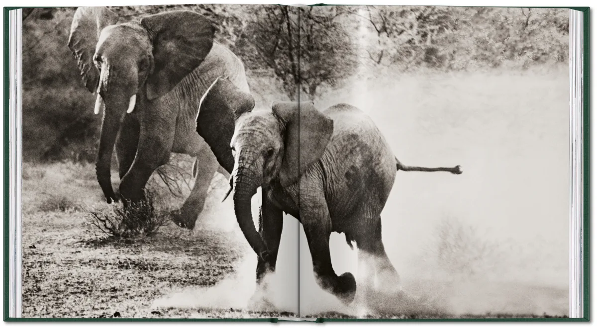 Peter Beard. The End of the Game - Bild 22 von 36