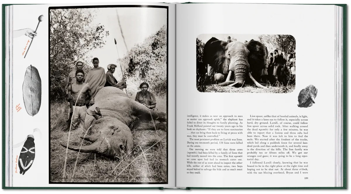 Peter Beard. The End of the Game - Bild 28 von 36