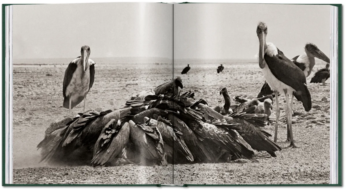 Peter Beard. The End of the Game - Bild 29 von 36