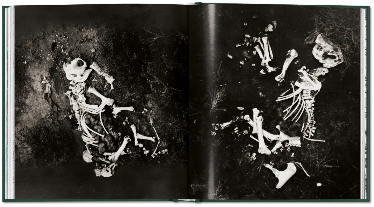 Peter Beard. The End of the Game - Bild 35 von 36