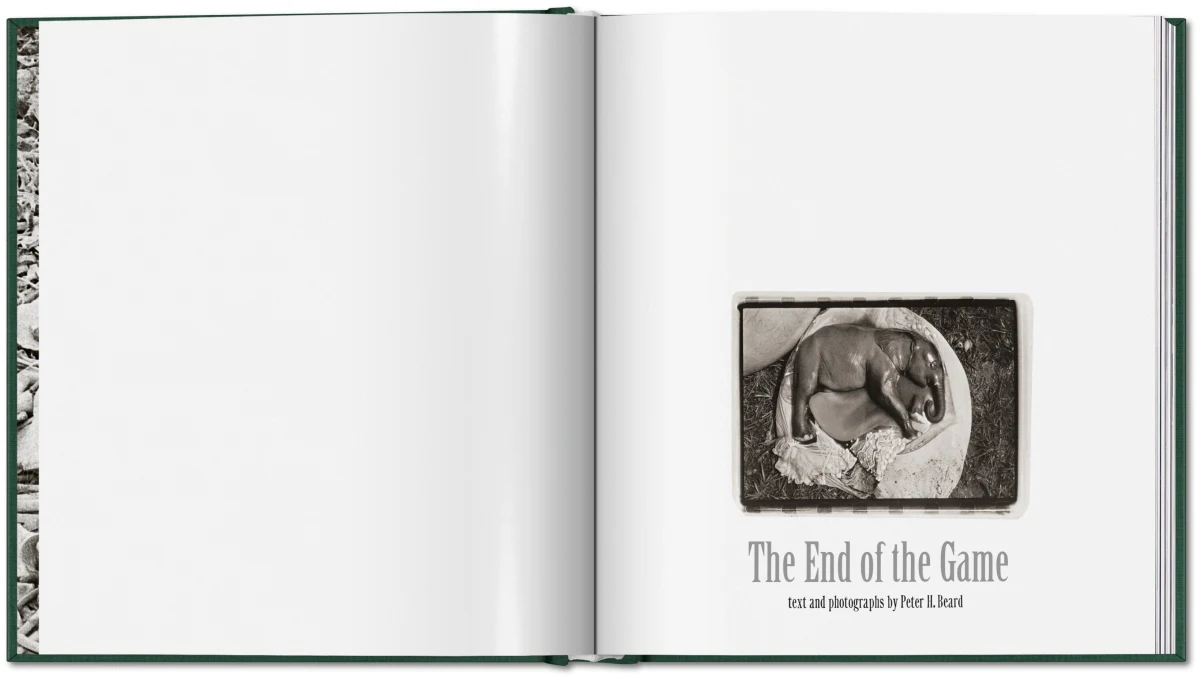Peter Beard. The End of the Game - Bild 3 von 36