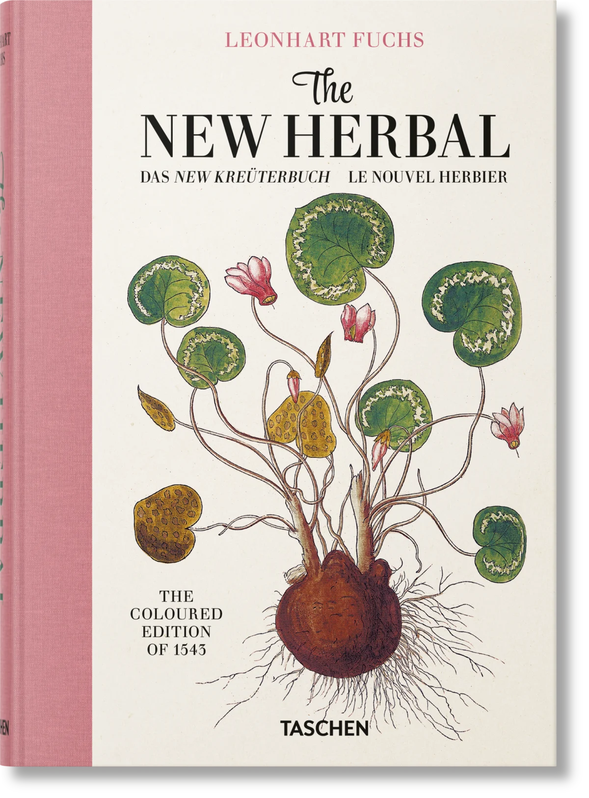 Leonhart Fuchs. The New Herbal - Imagen 1 de 1