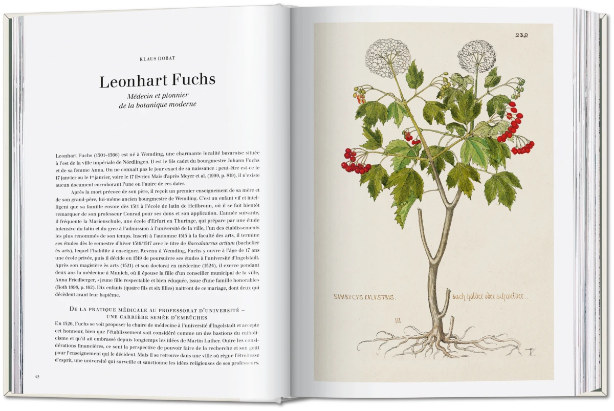 Leonhart Fuchs. The New Herbal - Imagen 3 de 13