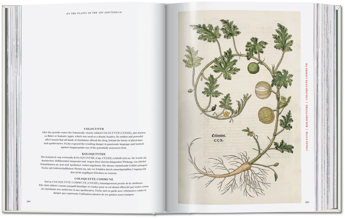 Leonhart Fuchs. The New Herbal - Imagen 6 de 13