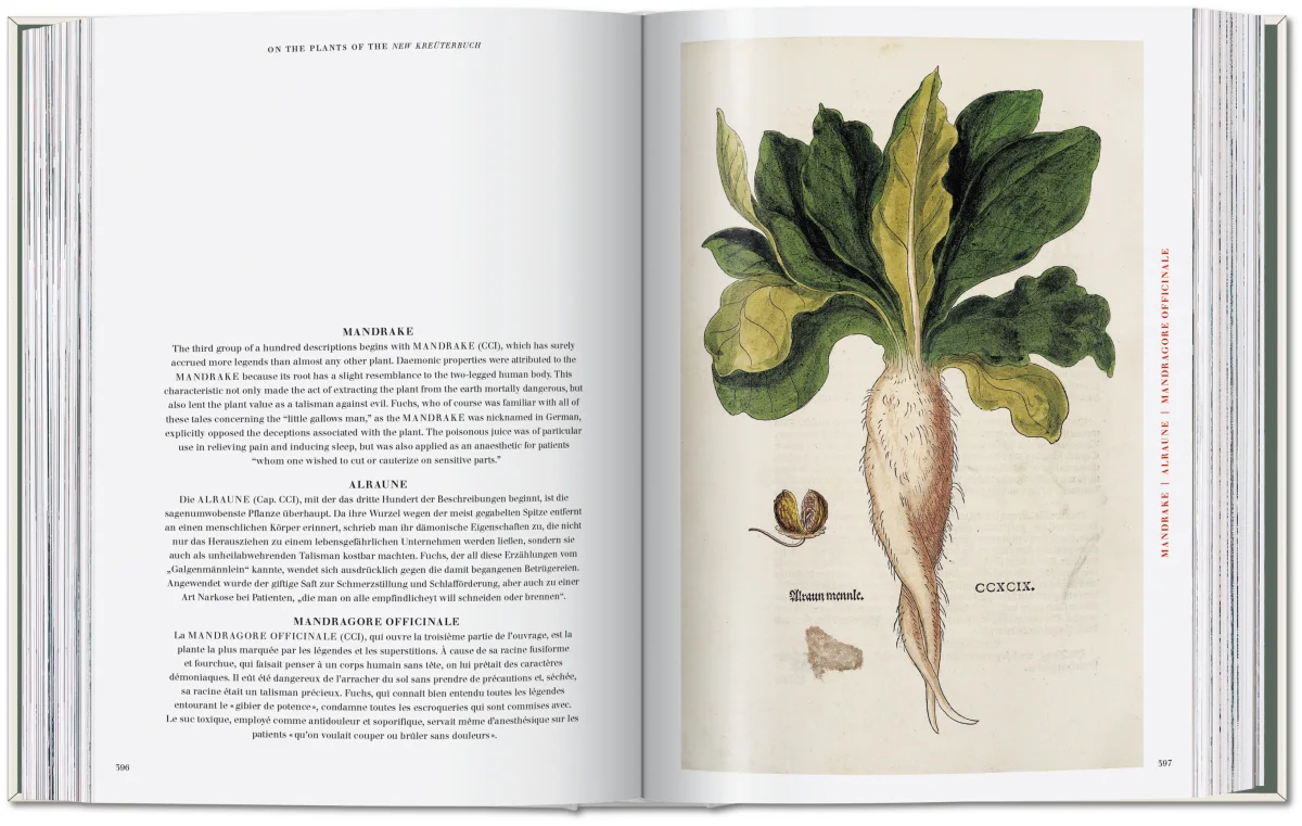 Leonhart Fuchs. The New Herbal - Imagen 7 de 13