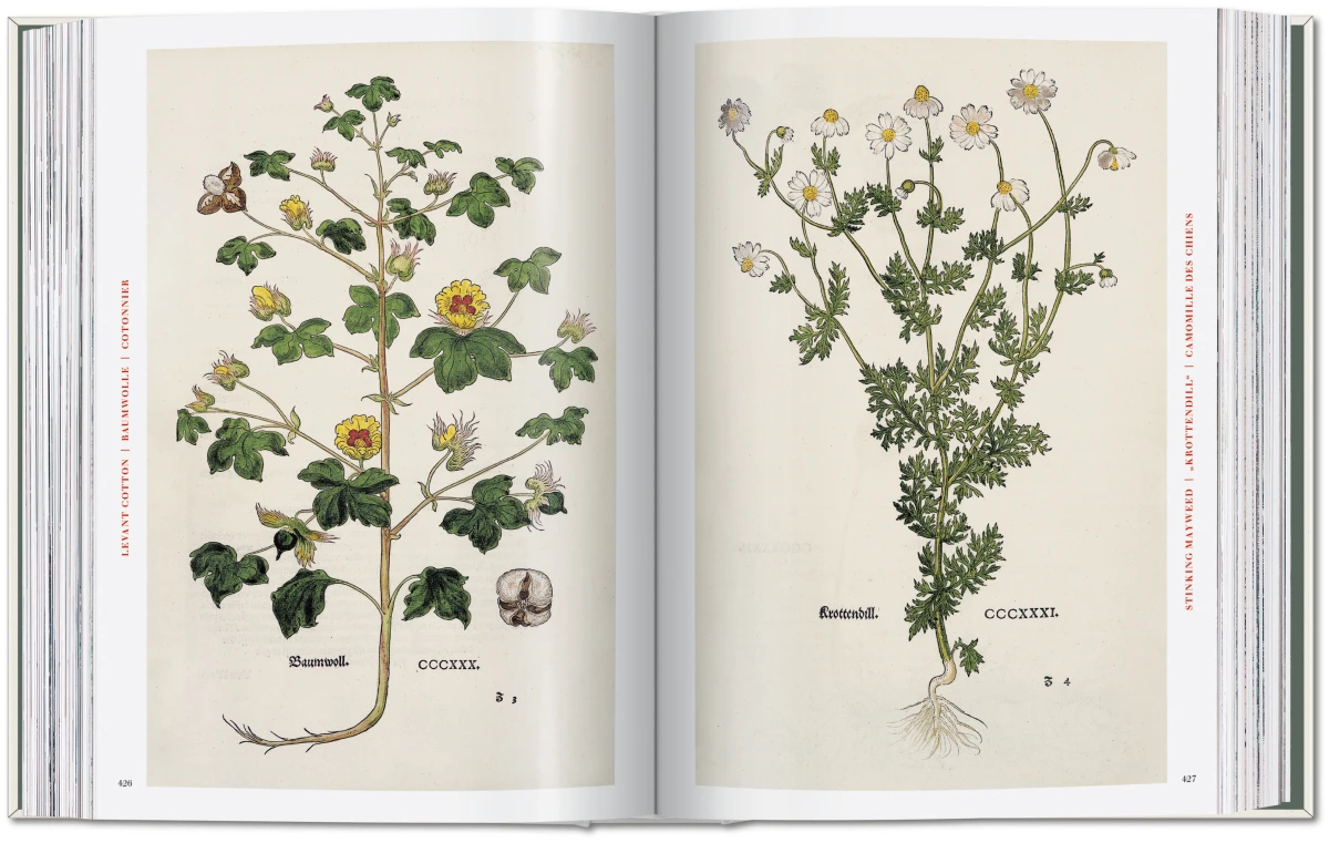 Leonhart Fuchs. The New Herbal - Imagen 8 de 13