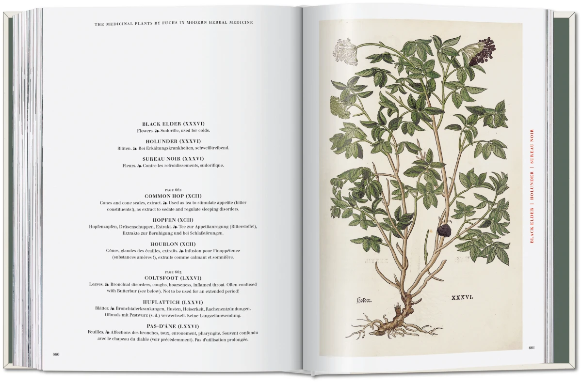 Leonhart Fuchs. The New Herbal - Imagen 11 de 13