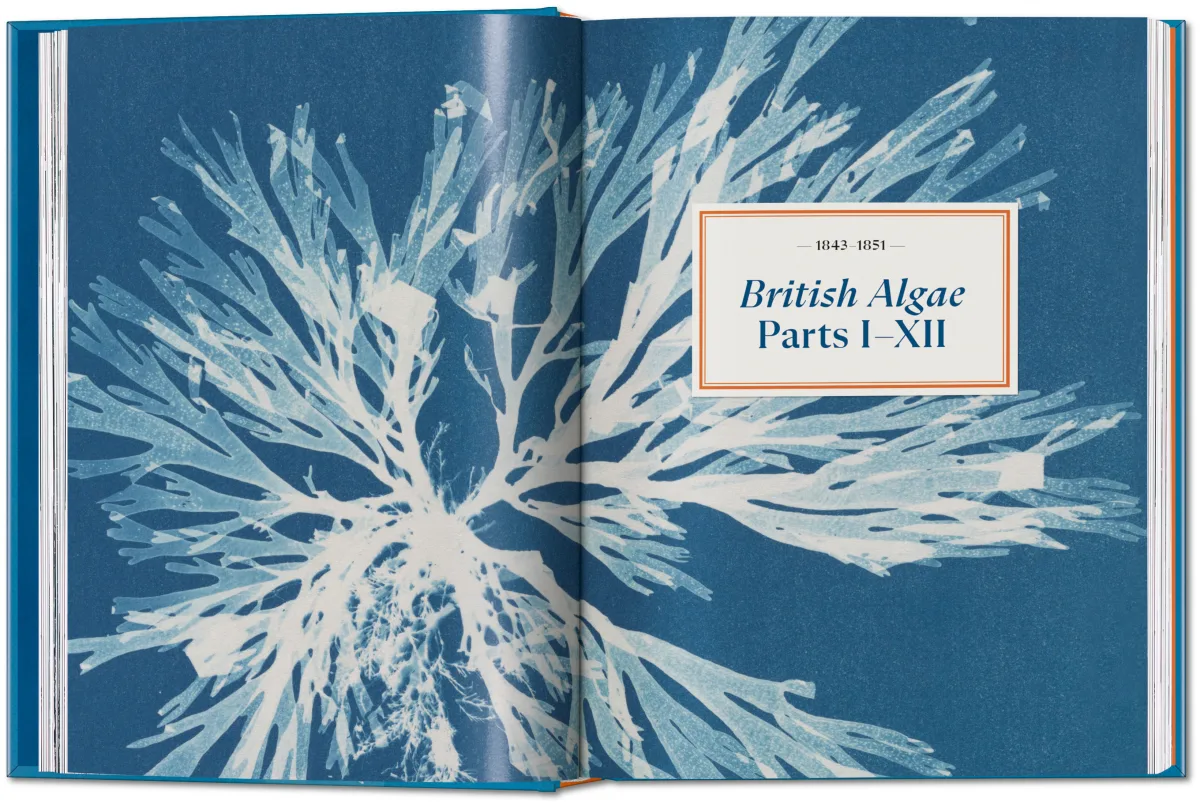 Anna Atkins. Cyanotypes. 45th Ed. - Image 6 of 12