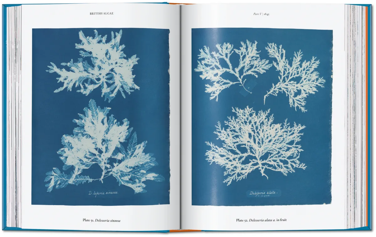 Anna Atkins. Cyanotypes. 45th Ed. - Image 7 of 12