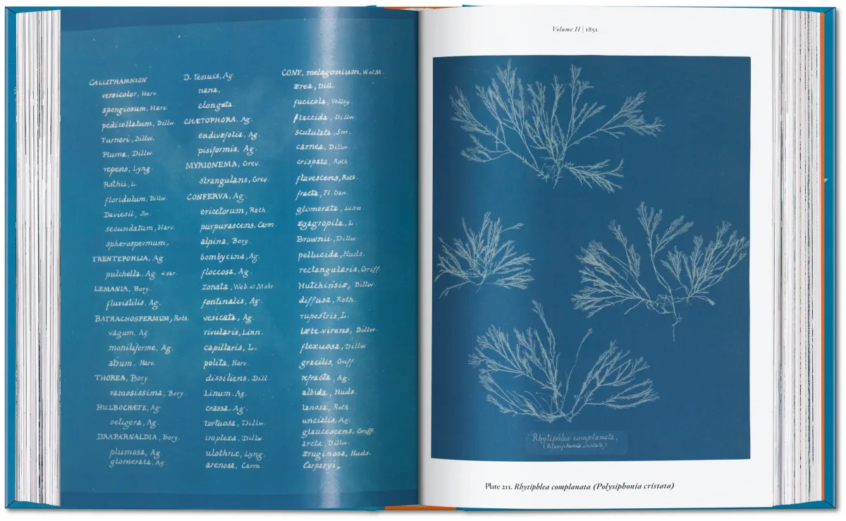Anna Atkins. Cyanotypes. 45th Ed. - Image 8 of 12