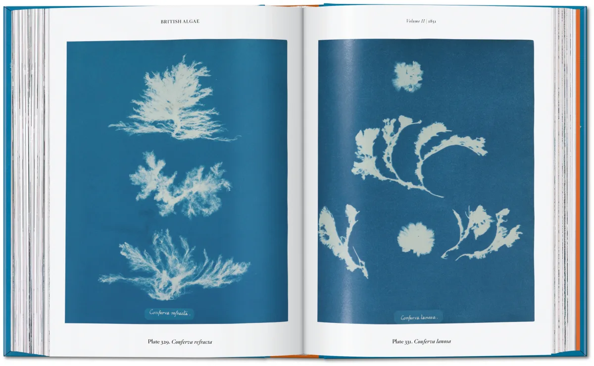 Anna Atkins. Cyanotypes. 45th Ed. - Image 9 of 12