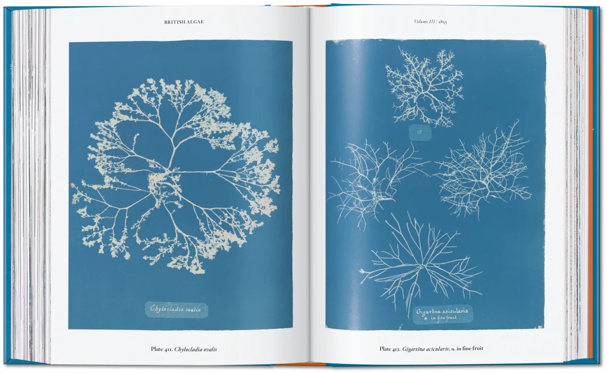 Anna Atkins. Cyanotypes. 45th Ed. - Image 10 of 12