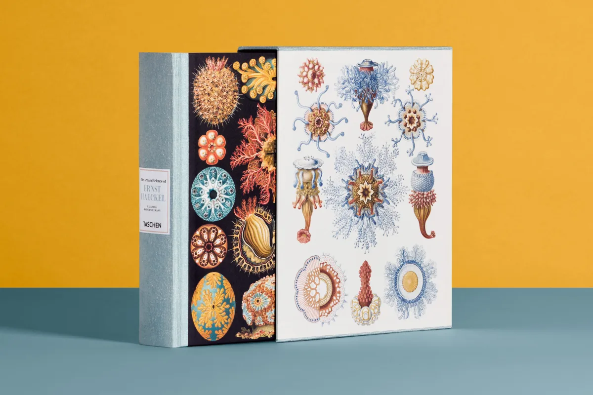 The Art and Science of Ernst Haeckel - Image 1 of 27