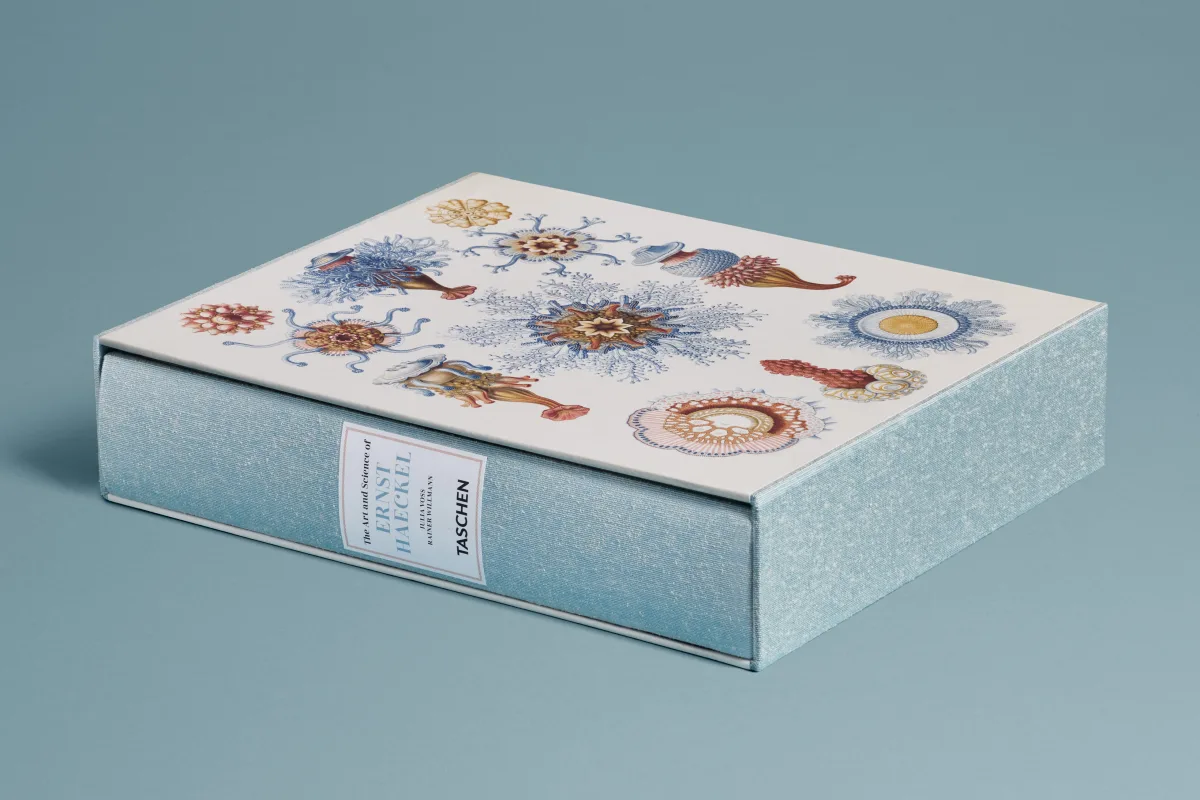 The Art and Science of Ernst Haeckel - Image 2 of 27