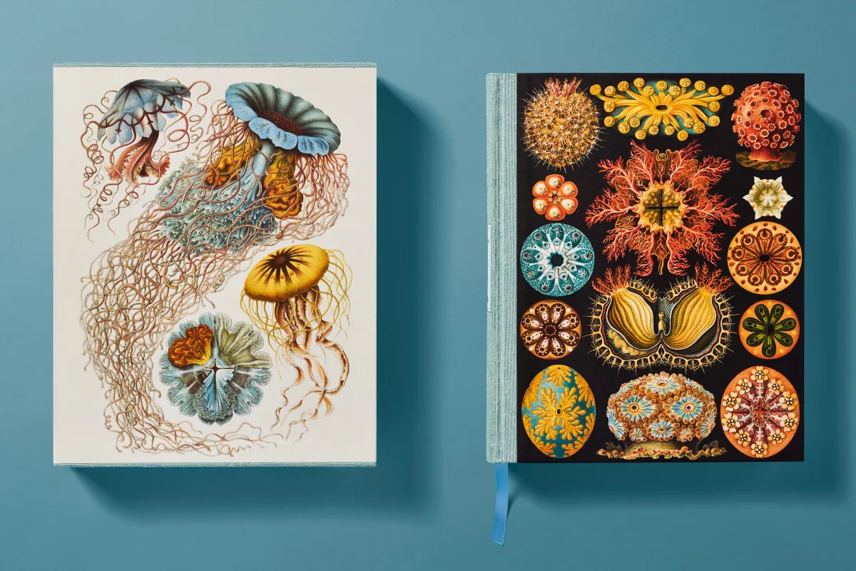 The Art and Science of Ernst Haeckel - Image 4 of 27