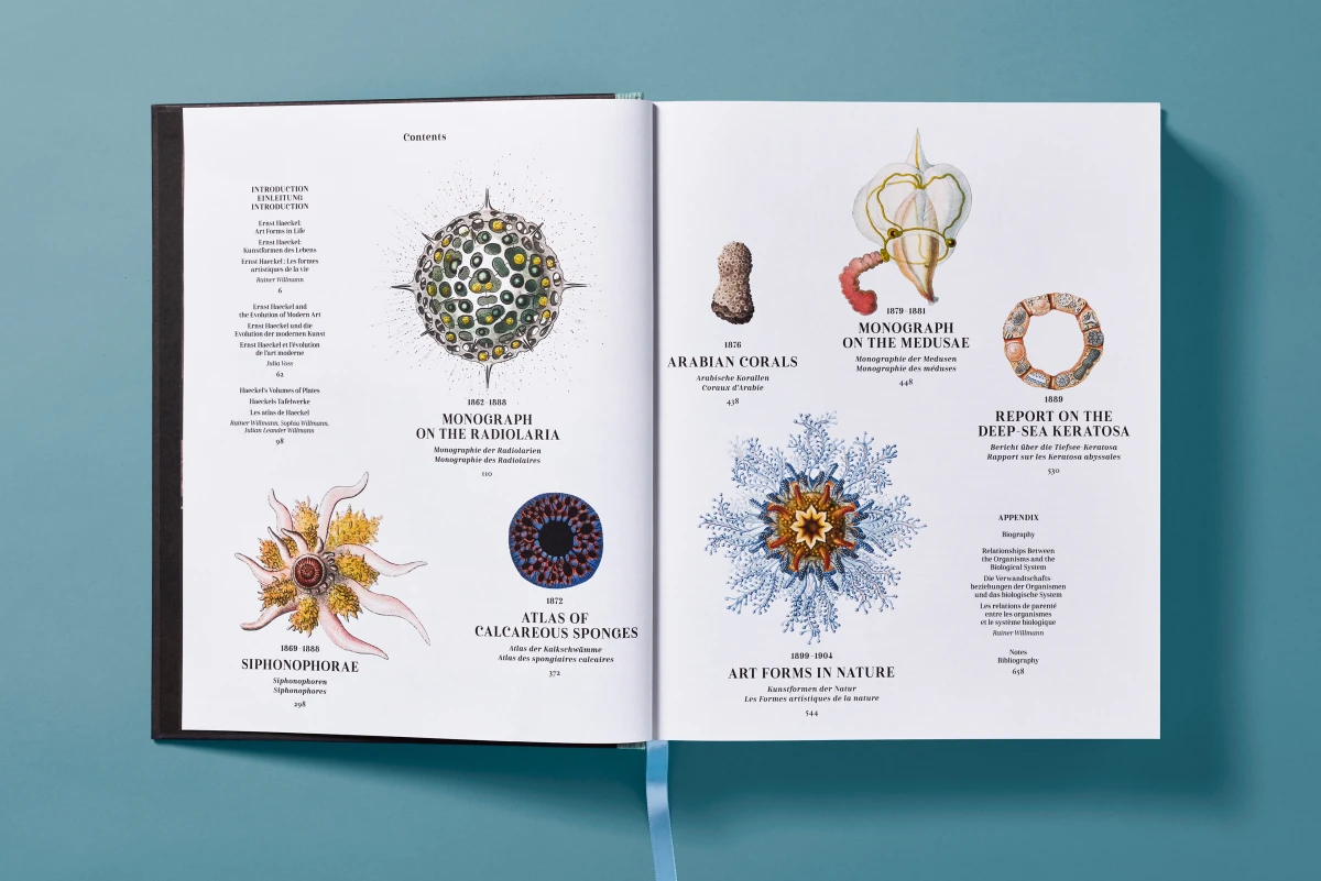 The Art and Science of Ernst Haeckel - Image 6 of 27