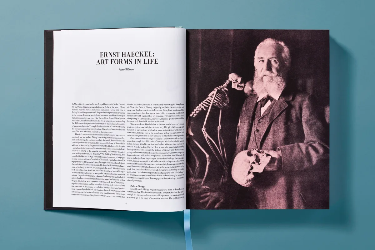The Art and Science of Ernst Haeckel - Image 7 of 27