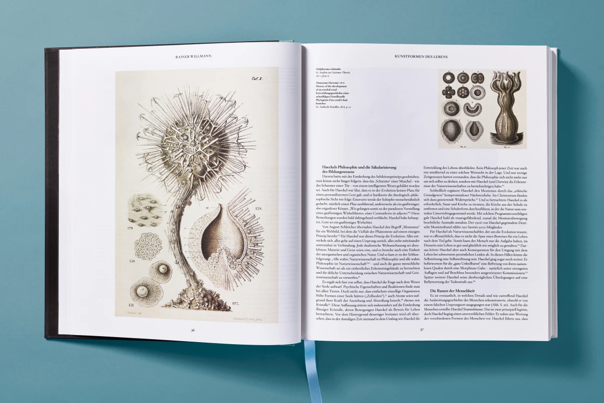 The Art and Science of Ernst Haeckel - Image 8 of 27