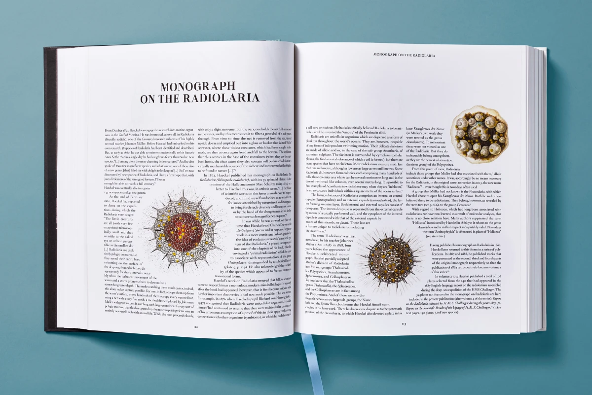 The Art and Science of Ernst Haeckel - Image 11 of 27