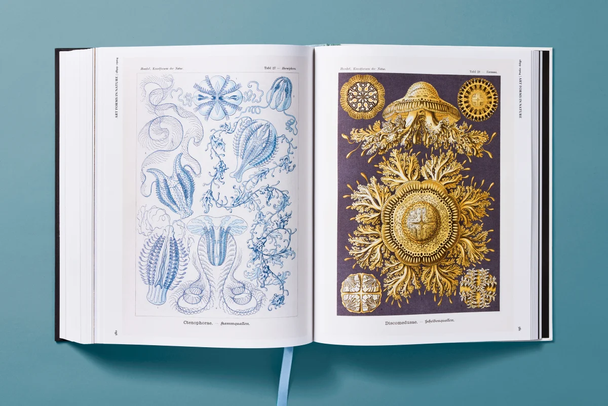 The Art and Science of Ernst Haeckel - Image 19 of 27