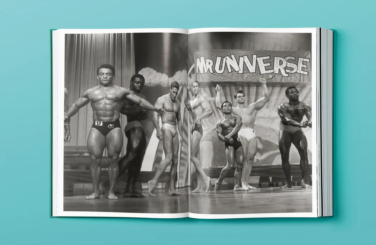 Arnold - Immagine 10 di 30