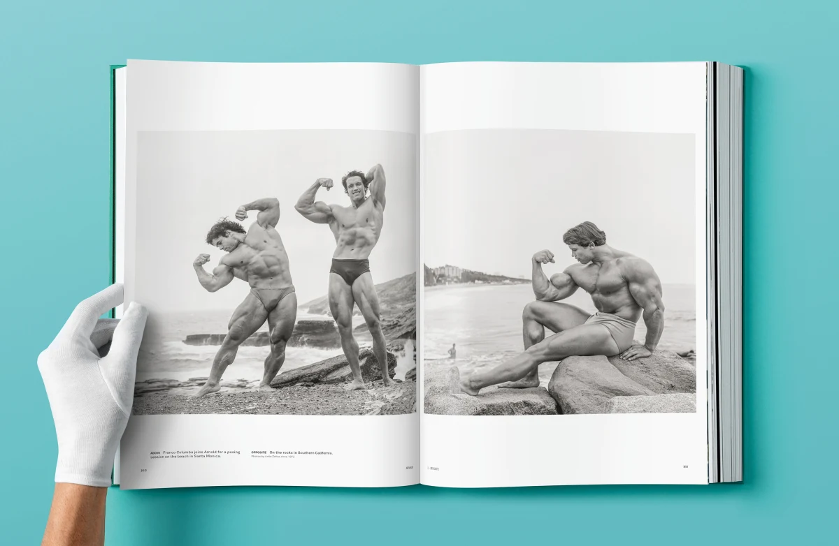 Arnold - Immagine 12 di 30
