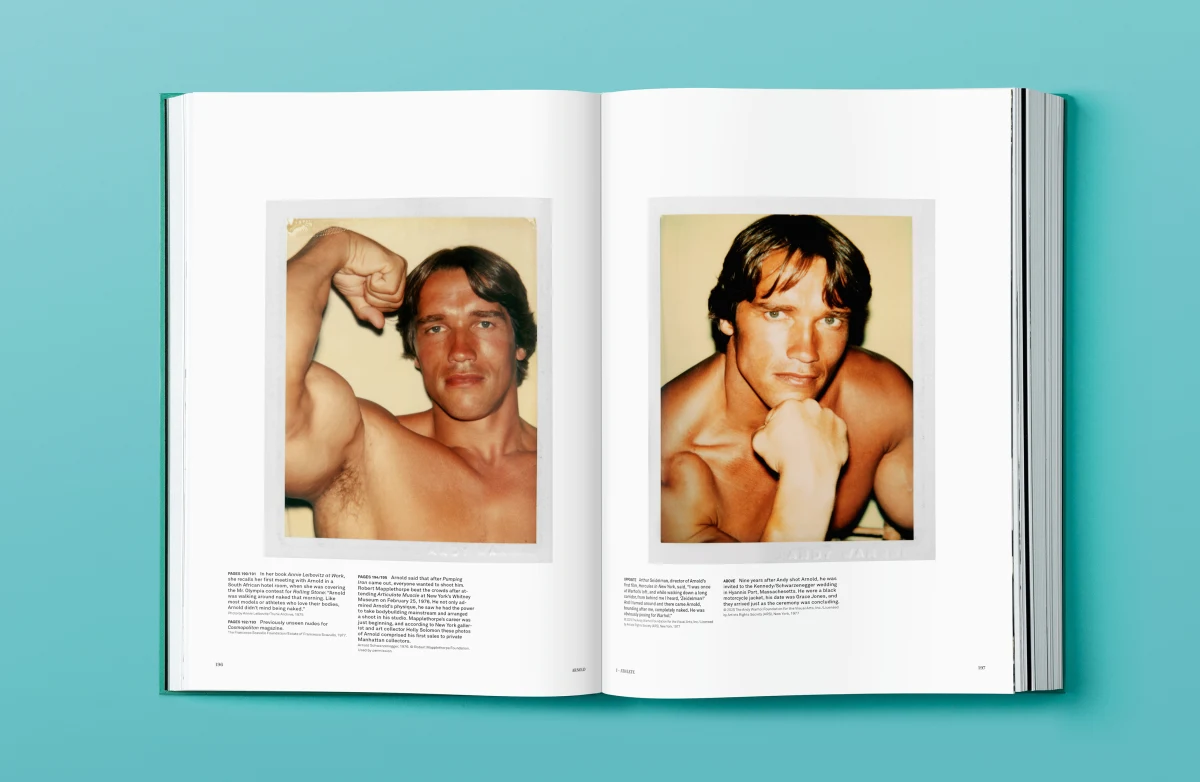 Arnold - Immagine 15 di 30