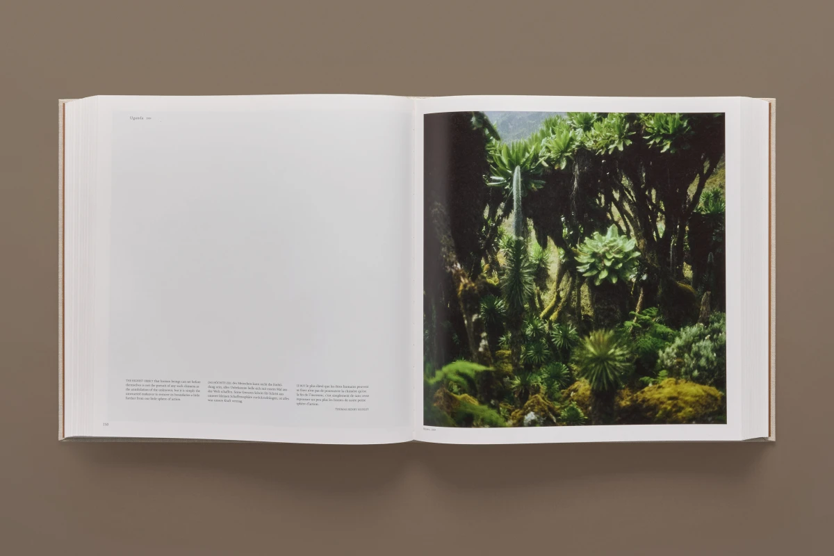 Darren Almond. Fullmoon. Art Edition No. 1–60, ‘Fullmoon@Pentre Ifan’ - Bild 10 von 31
