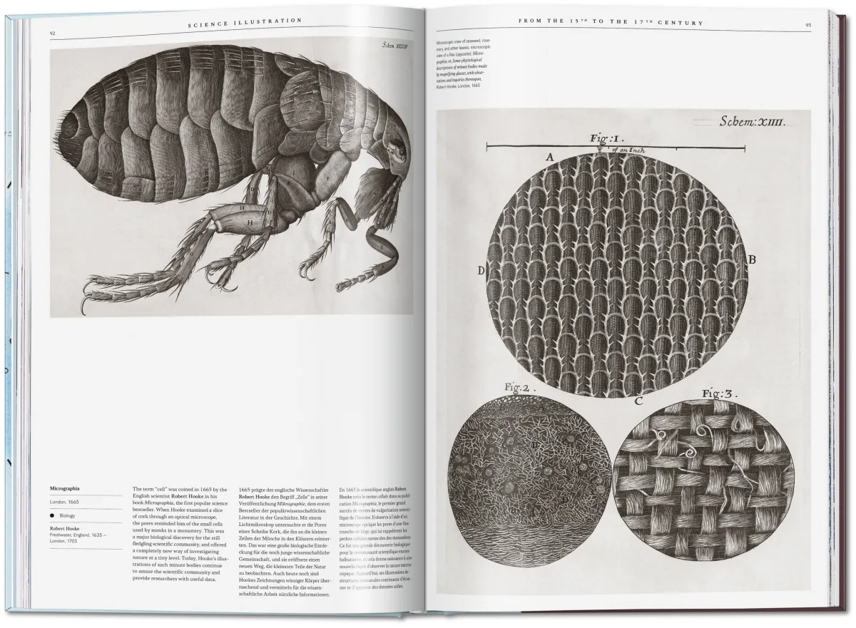 Science Illustration - Imagen 4 de 14