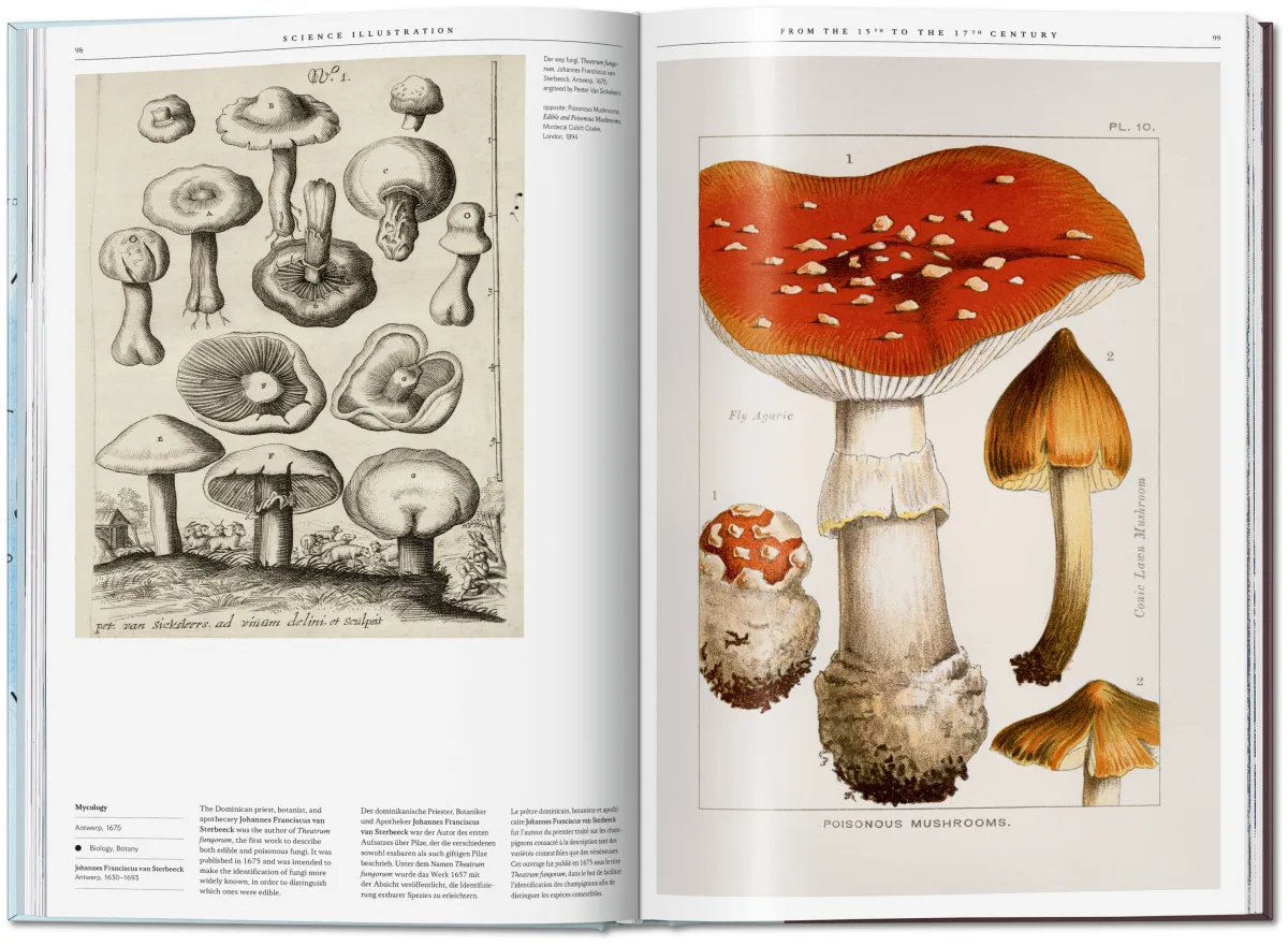Science Illustration - Imagen 5 de 14