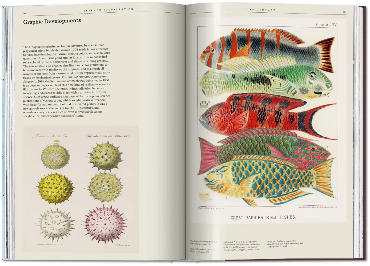 Science Illustration - Imagen 8 de 14