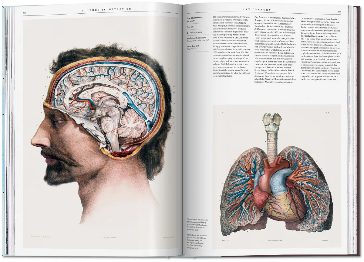 Science Illustration - Imagen 11 de 14