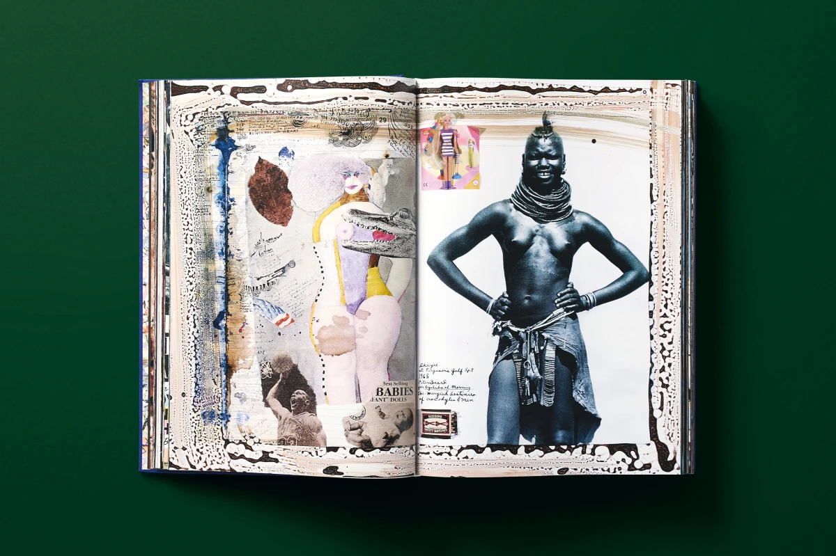 Peter Beard - Imagen 9 de 24