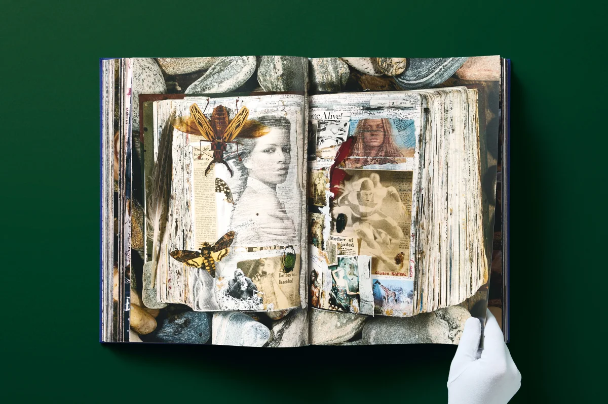 Peter Beard - Imagen 11 de 24