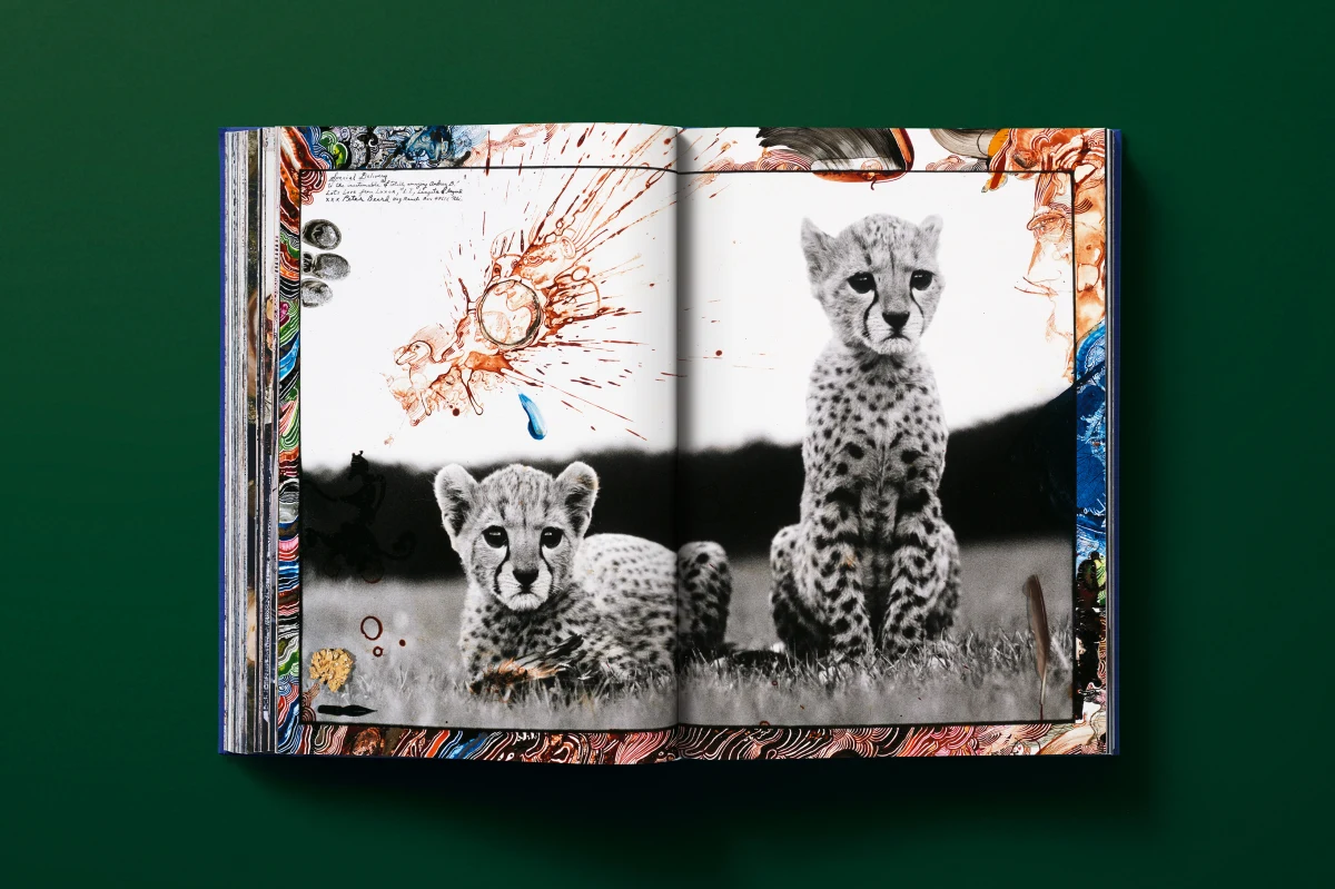 Peter Beard - Imagen 13 de 24