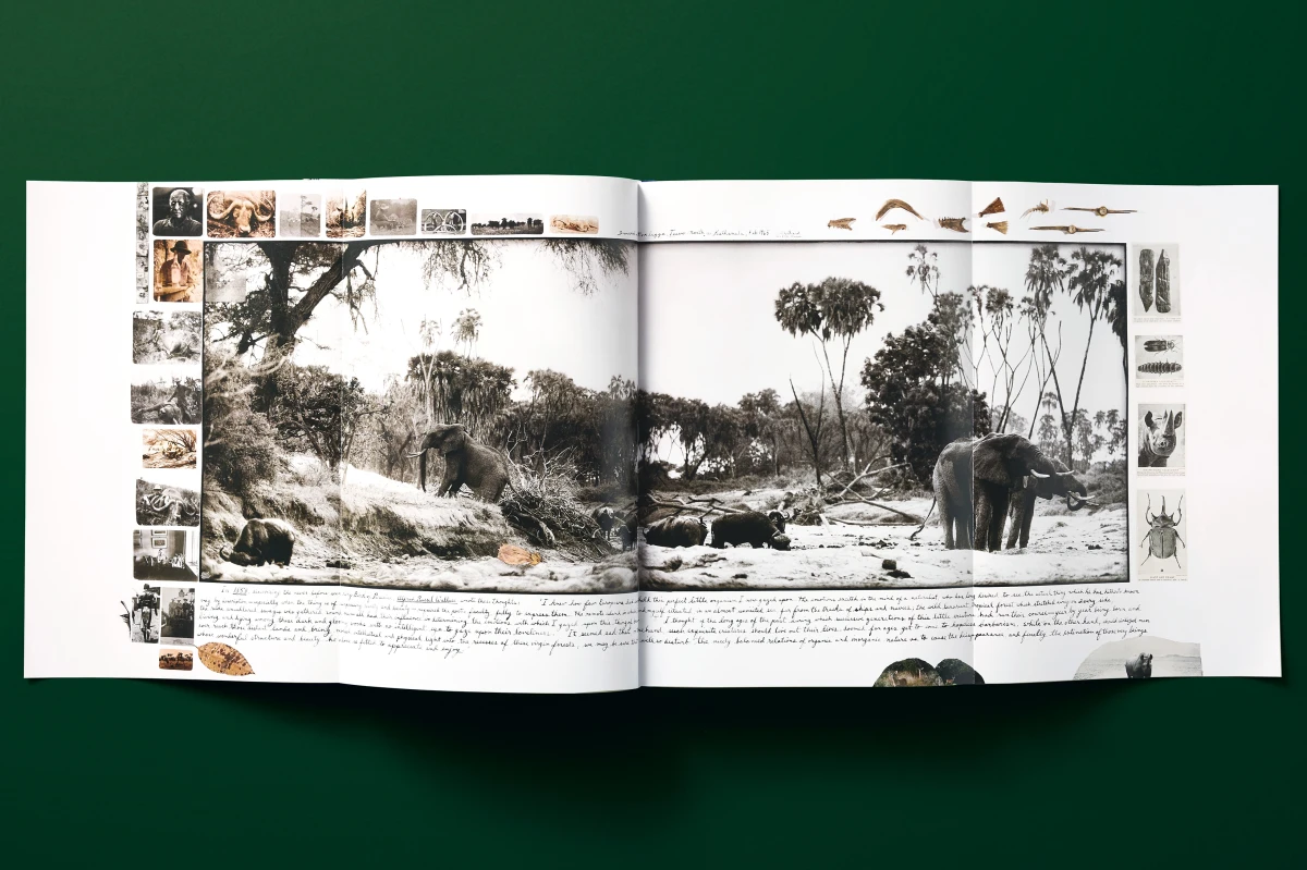 Peter Beard - Imagen 15 de 24