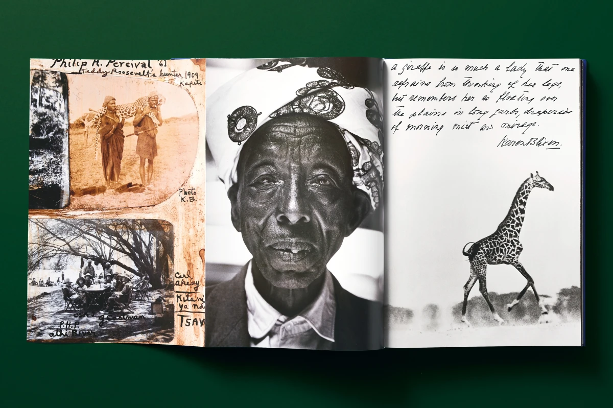Peter Beard - Imagen 16 de 24