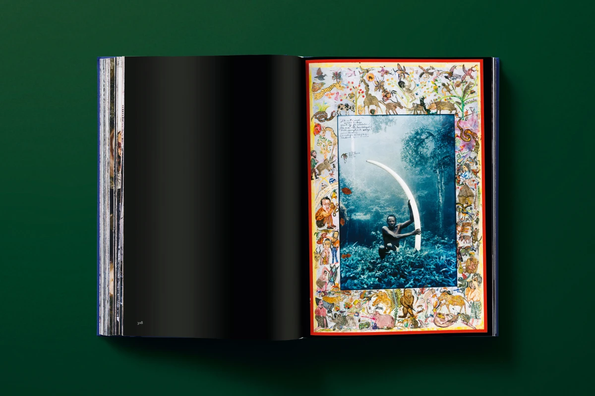 Peter Beard - Imagen 17 de 24