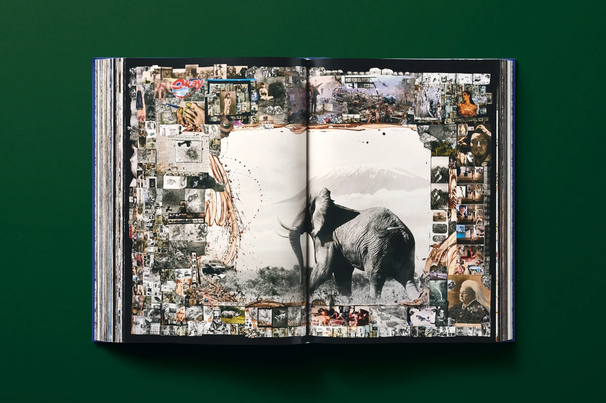 Peter Beard - Imagen 18 de 24