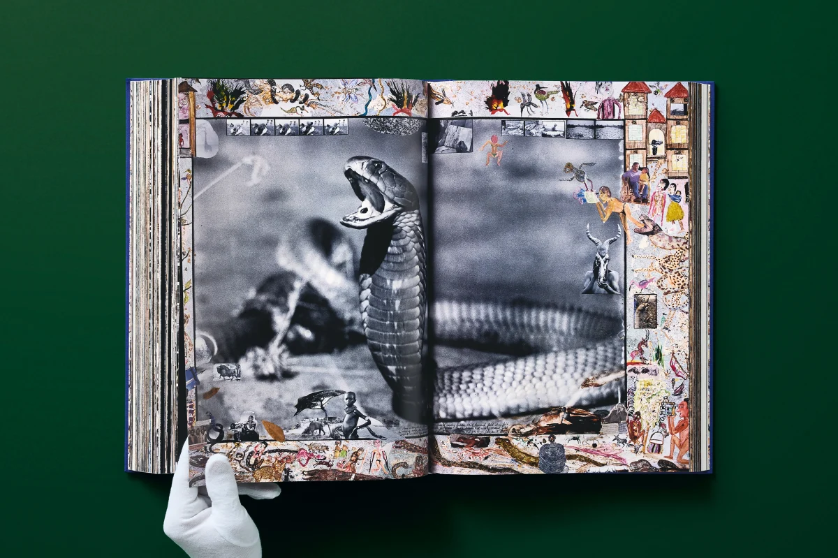 Peter Beard - Imagen 19 de 24